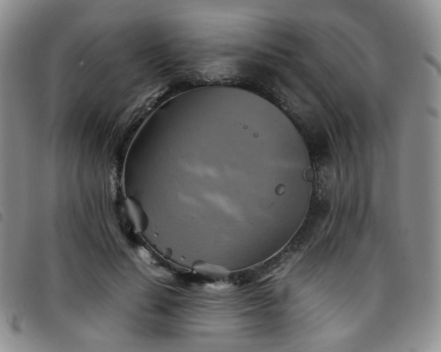 X0000097780644200803141809