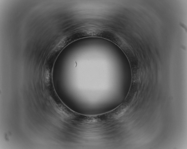 X0000097780646200803141809