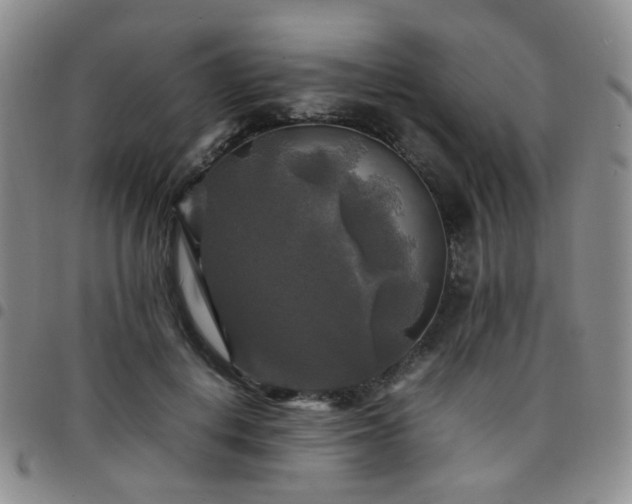 X0000097780648200803141809