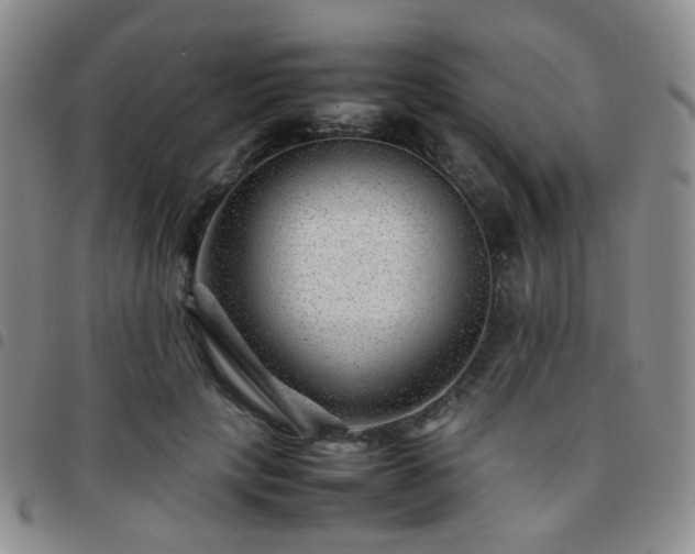 X0000097780649200803141809