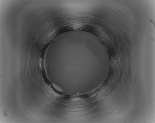 X0000097780650200803141809