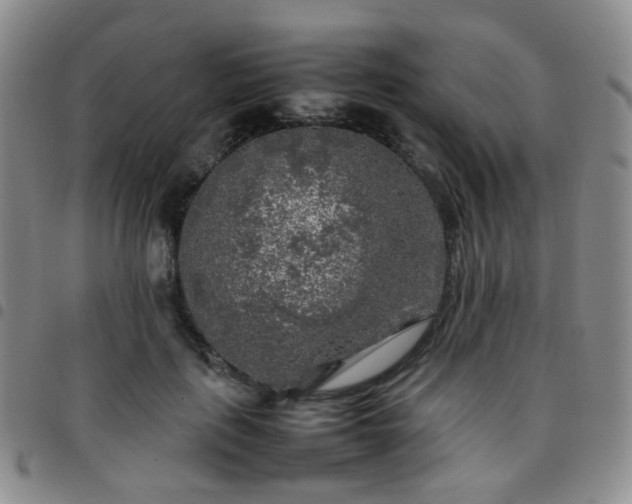 X0000097780651200803141809