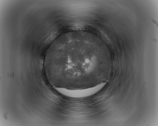 X0000097780652200803141809