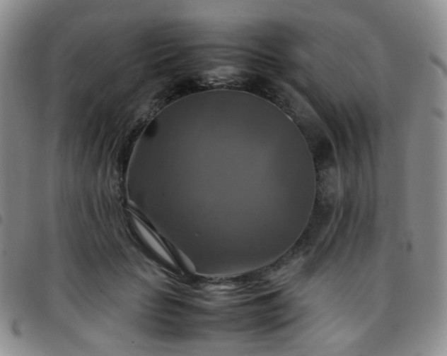 X0000097780653200803141809