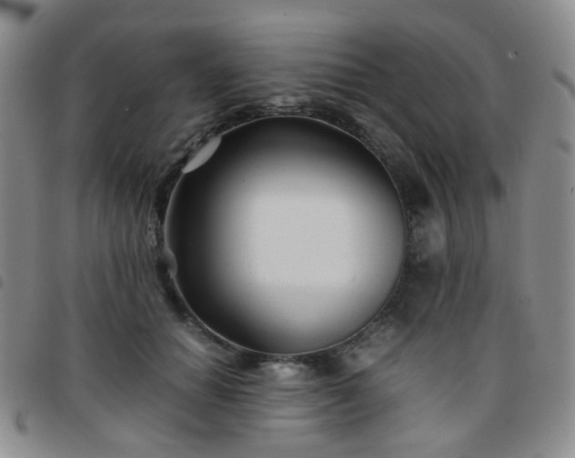 X0000097780654200803141809