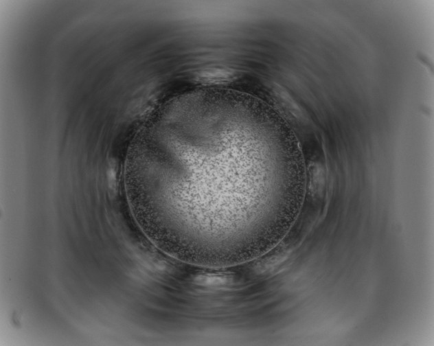 X0000097780655200803141809