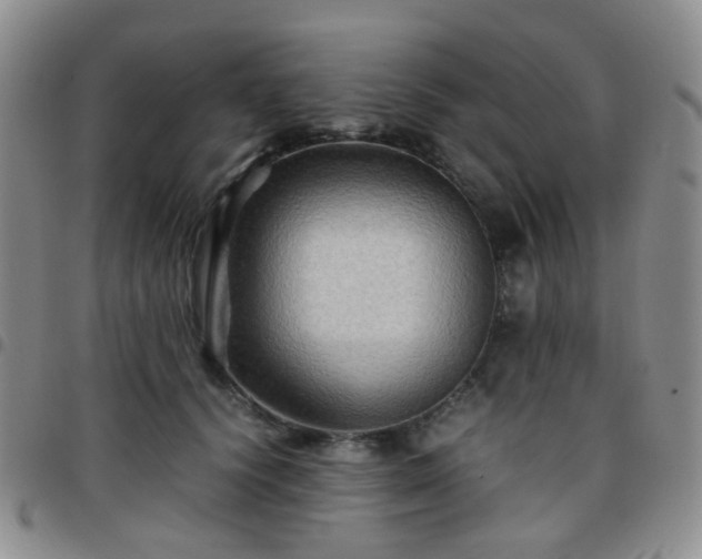 X0000097780656200803141809