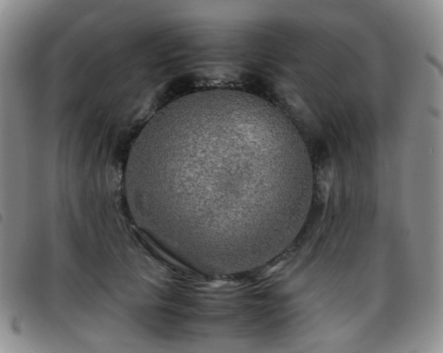 X0000097780657200803141809