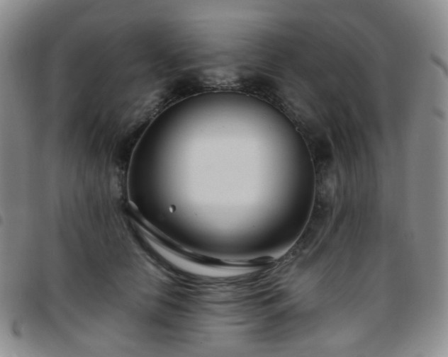 X0000097780658200803141809