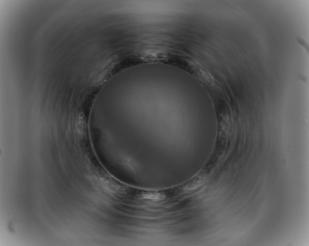 X0000097780659200803141809