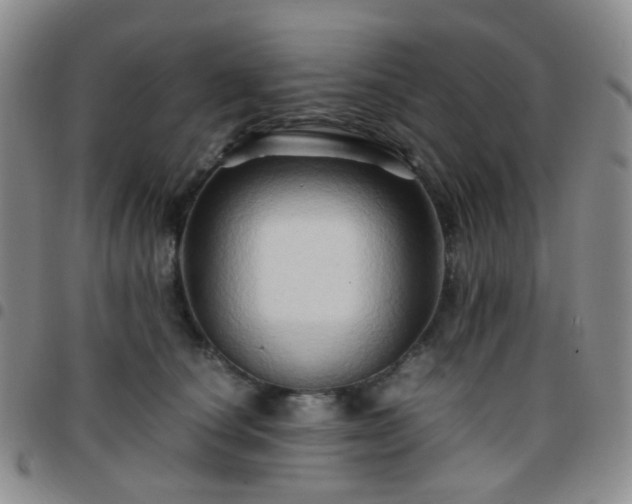 X0000097780660200803141809