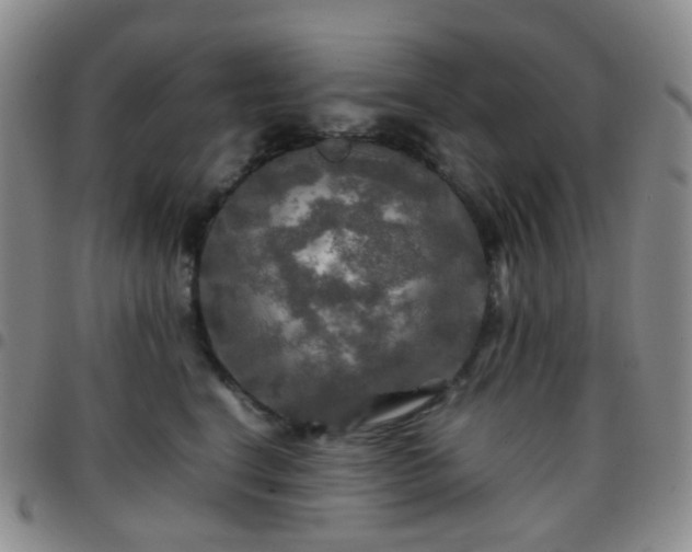 X0000097780664200803141809