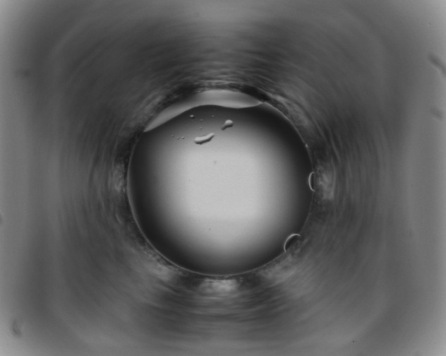 X0000097780665200803141809