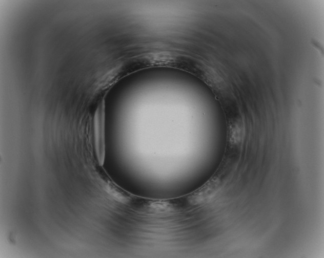 X0000097780666200803141809