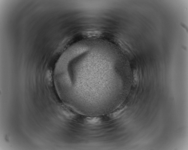 X0000097780667200803141809