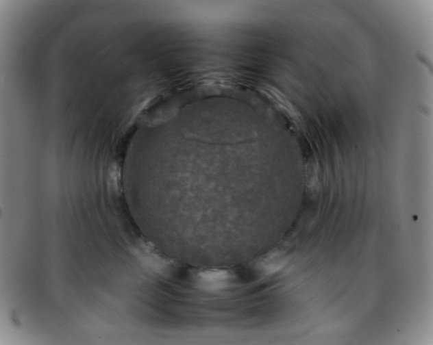 X0000097780669200803141809