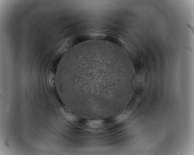 X0000097780671200803141809