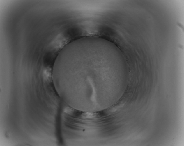 X0000097780672200803141809