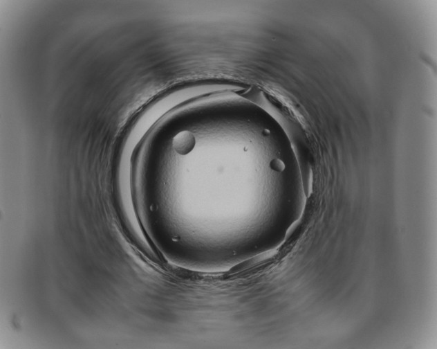 X0000097780677200803141808