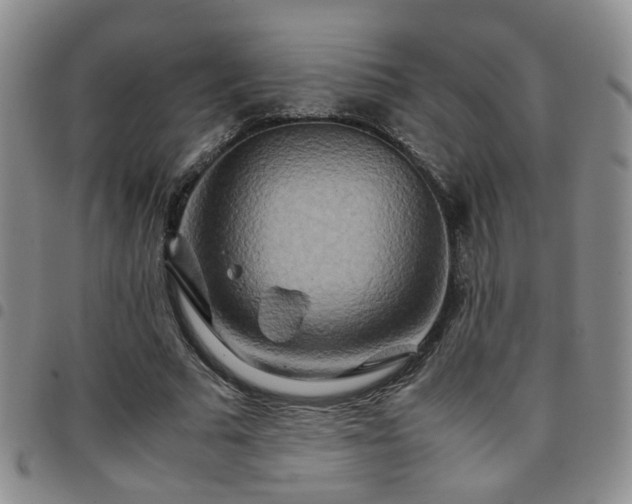 X0000097780681200803141808