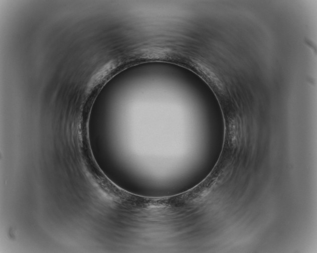 X0000097780682200803141808