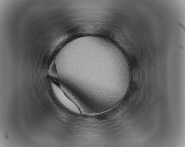 X0000097780685200803141808