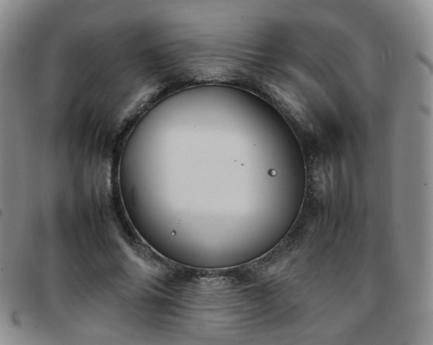 X0000097780686200803141808