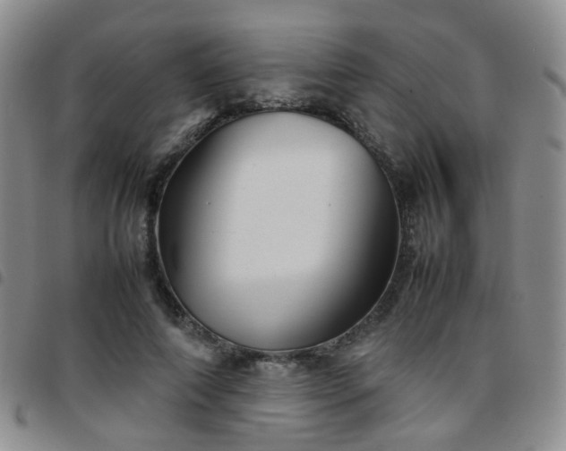 X0000097780690200803141808