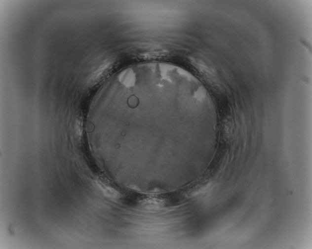 X0000097780691200803141808