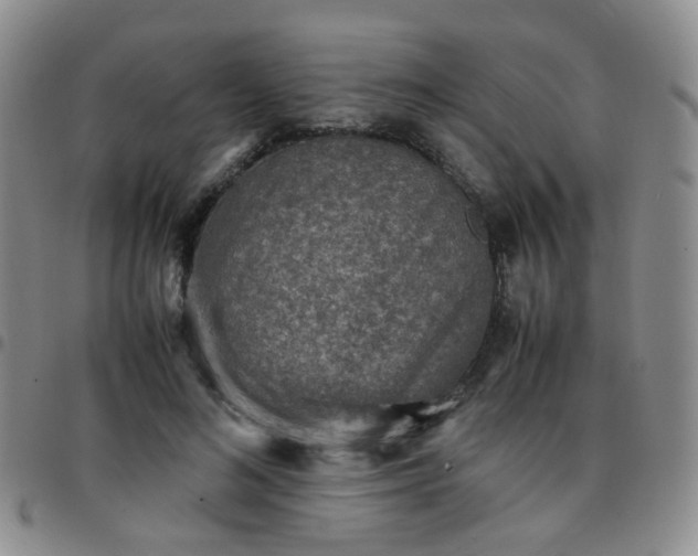 X0000097780692200803141808