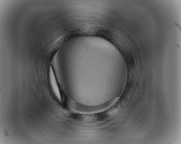 X0000097780693200803141808