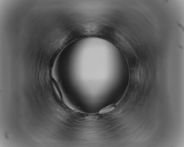 X0000097780700200803141808