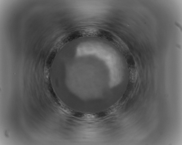 X0000097780701200803141808