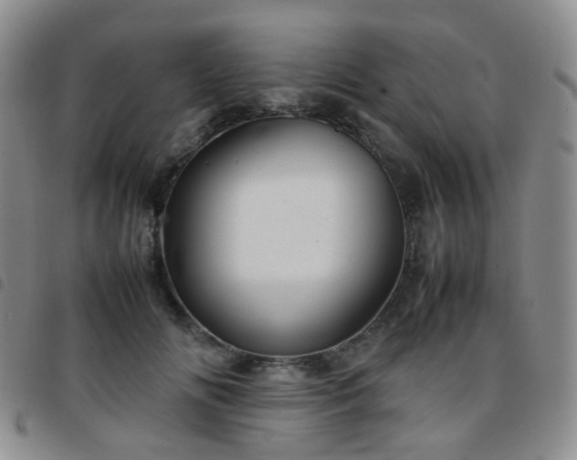 X0000097780702200803141808