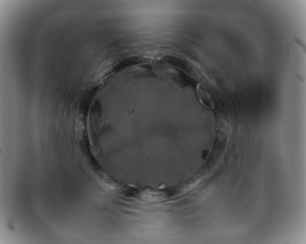 X0000097780707200803141808