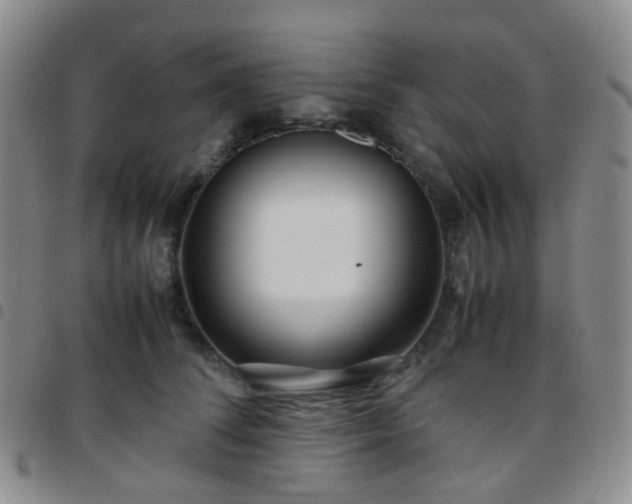 X0000097780708200803141808