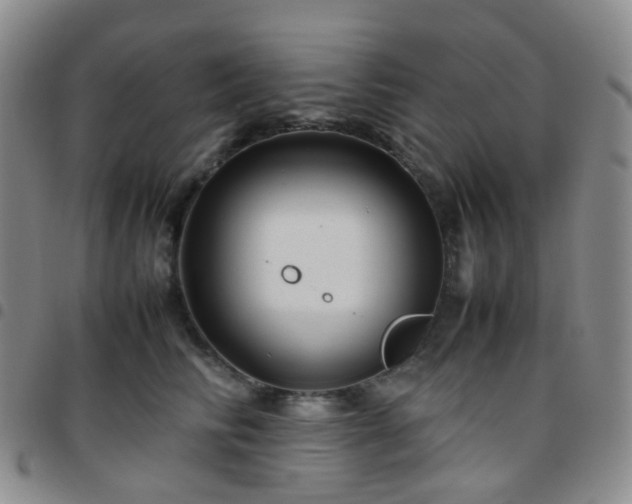 X0000097780710200803141808