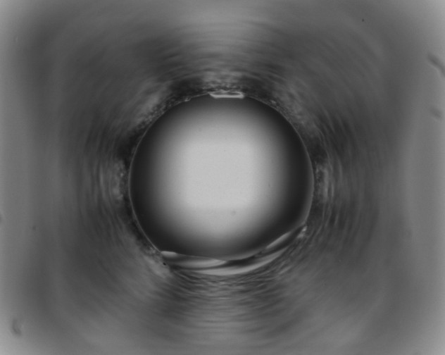 X0000097780712200803141808