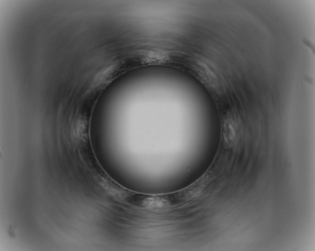 X0000097780714200803141808