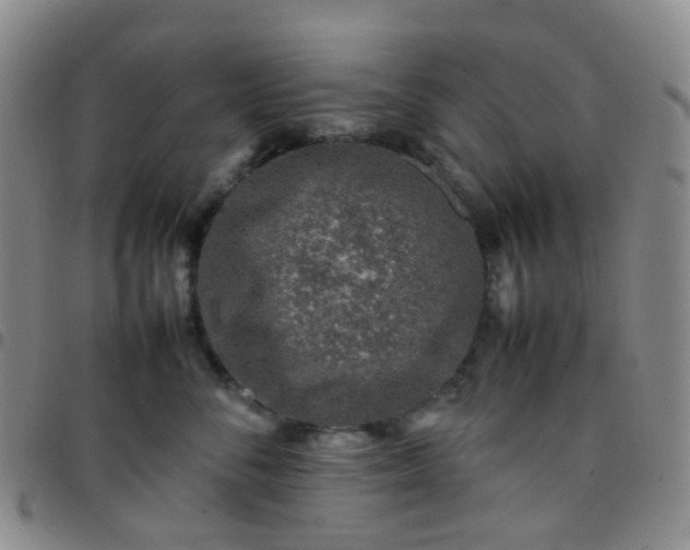 X0000097780716200803141808