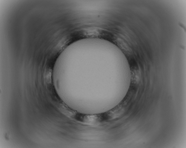 X0000097780717200803141808