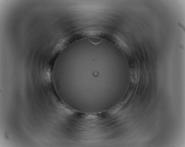 X0000097780718200803141808