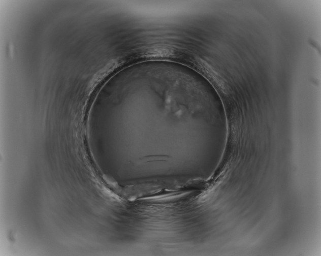 X0000097780721200803141807