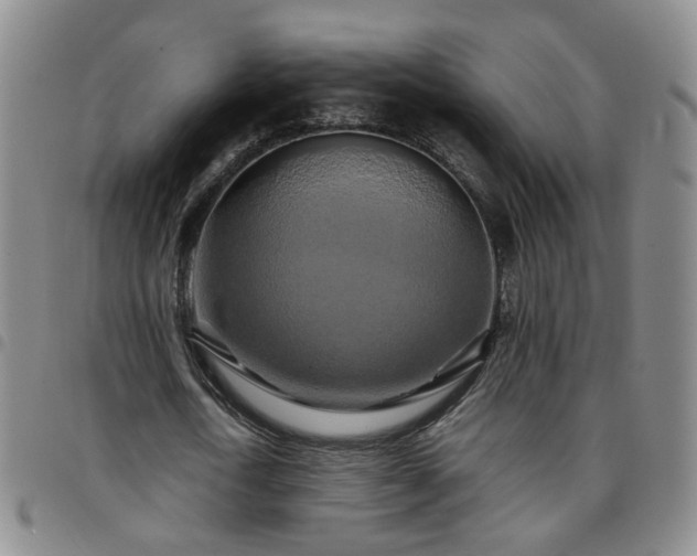 X0000097780722200803141807