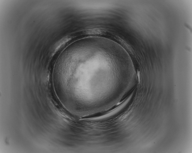 X0000097780723200803141807