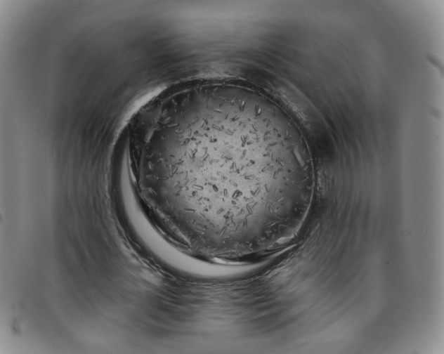 X0000097780724200803141807