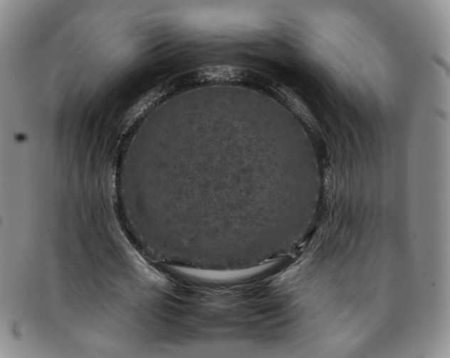 X0000097780725200803141807