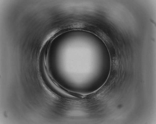 X0000097780726200803141807