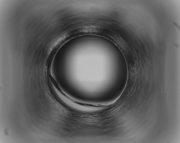 X0000097780727200803141807