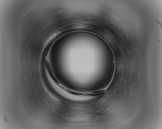 X0000097780728200803141807